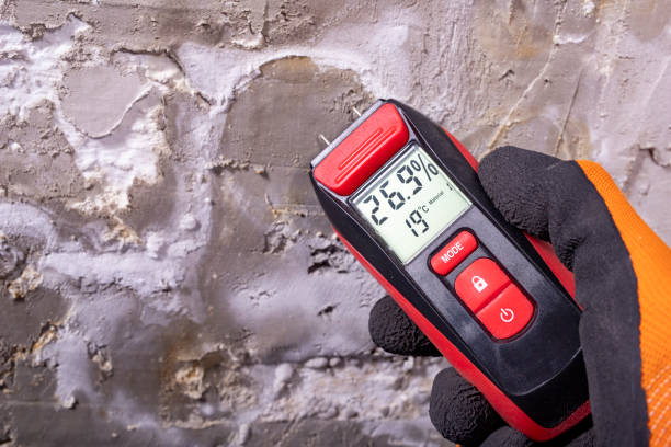 Best DIY Mold Remediation Support Services in Quail Ridge, FL