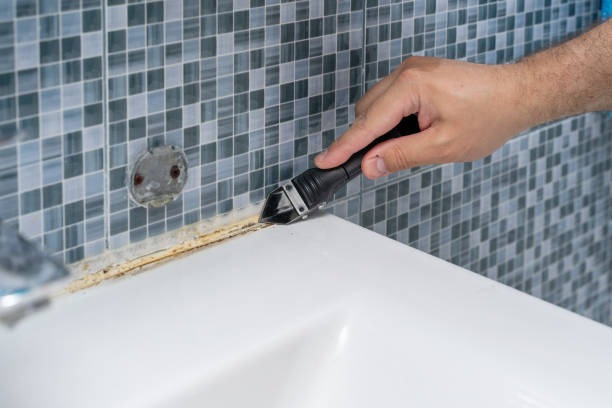 Best Industrial Mold Remediation in Quail Ridge, FL